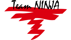 Team Ninja